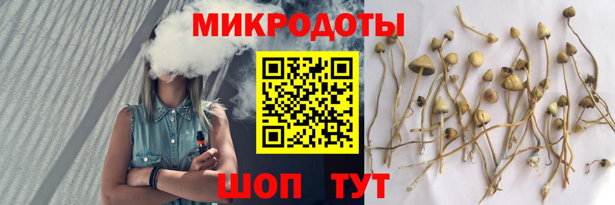 Псилоцибиновые грибы MAGIC MUSHROOMS Ишим