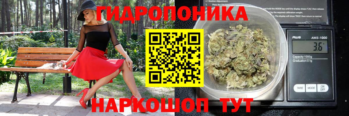 Бошки Шишки LSD WEED Ишим